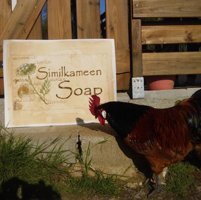 Similkameen Soap