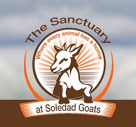 Sanctuary at Soledad